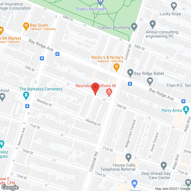 Map of the neighborhood around Brooklyn Boulevard ALP