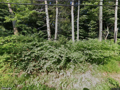 Photo of Brookwood Retirement Home