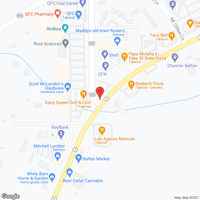 Map of the neighborhood around Belfair Adult Family Home