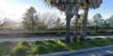 street view of Carefree North Natomas