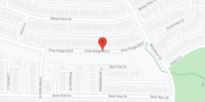 Legend of McKinney in google map