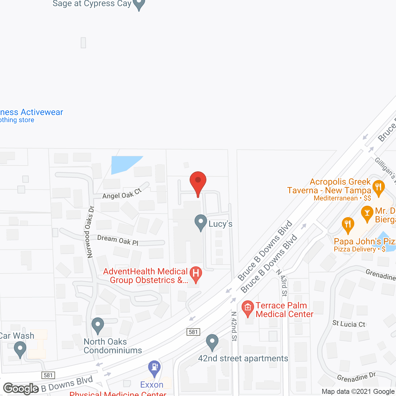Map of the neighborhood around Angels Senior Living At New Tampa LLC