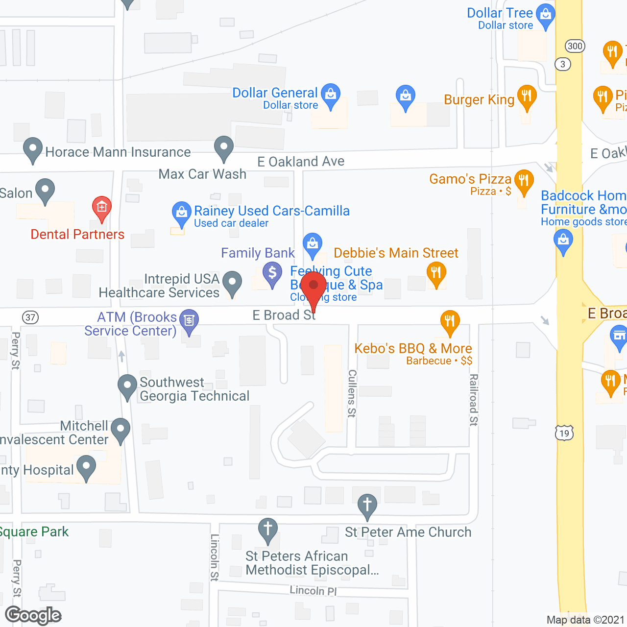 Map of the neighborhood around Savannah Court of Camilla