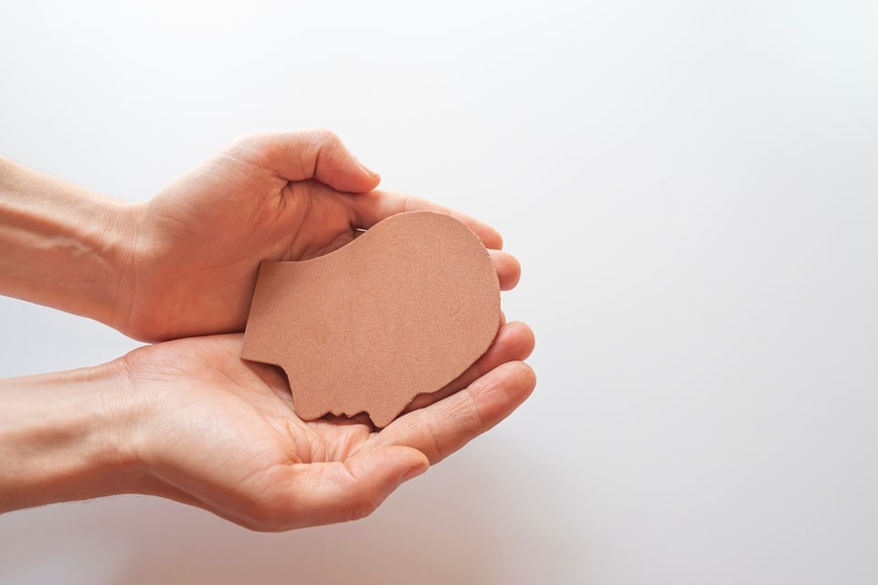 Pair of hands holding flat ceramic silhouette of human head